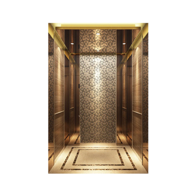 630kg 1.75m/S Small Machine Room Less Lift Roomless Home Passenger Elevator