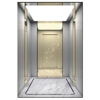 Small Traction Type Home Monarch Villa Lift Stainless Steel Private Building Elevator