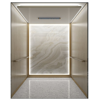 3 - 10m Lifting Height 400kg Load Home Villa Elevator Small Customized Residential Elevator Lift