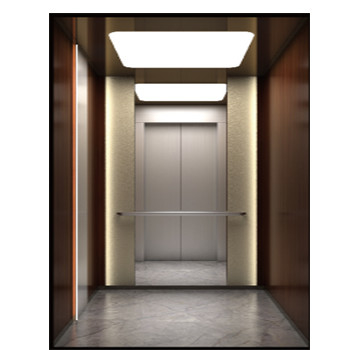 Small Traction Type Home Monarch Villa Lift Stainless Steel Private Building Elevator
