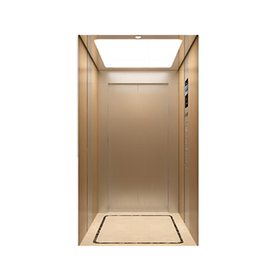 Cheap Indoor Small Shaftless Residential Elevators Home Lift