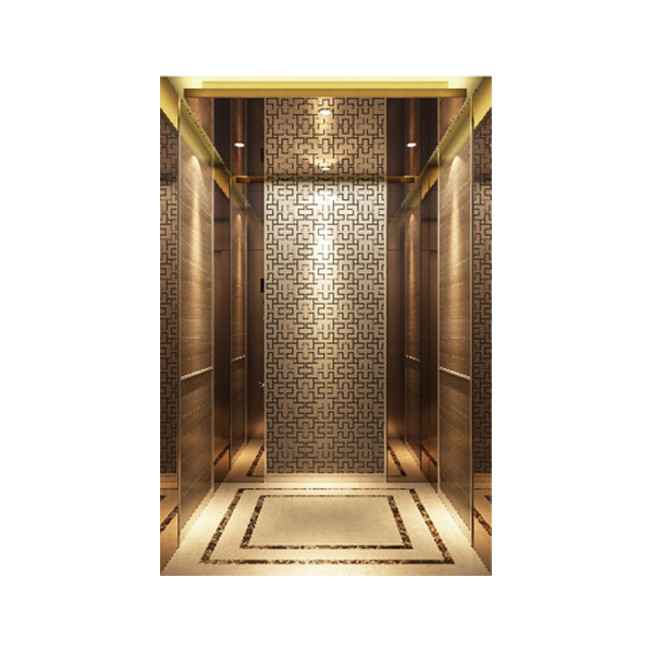 630kg 1.75m/S Small Machine Room Less Lift Roomless Home Passenger Elevator