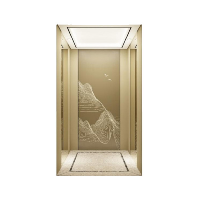 Low Price FUJI Home Elevator Small Villa Elevator Lift